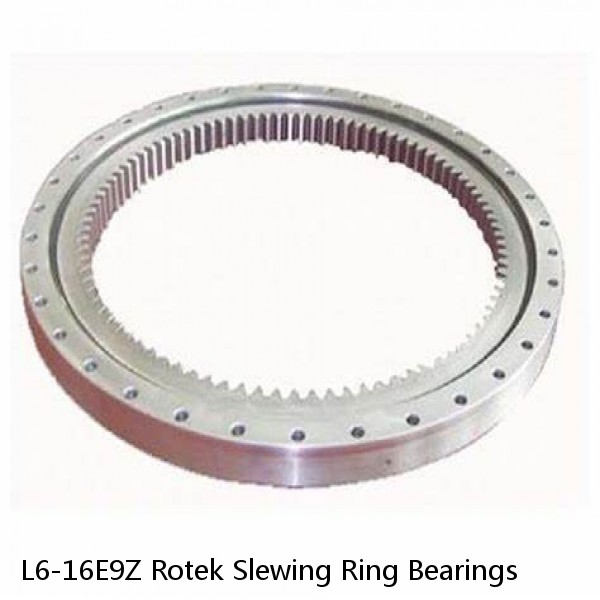L6-16E9Z Rotek Slewing Ring Bearings