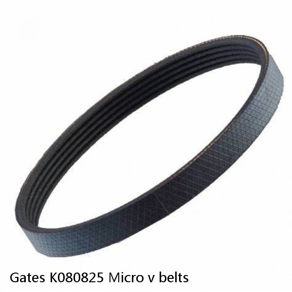 Gates K080825 Micro v belts
