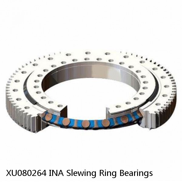 XU080264 INA Slewing Ring Bearings