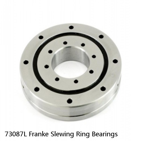 73087L Franke Slewing Ring Bearings #1 image