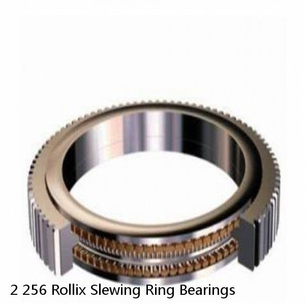 2 256 Rollix Slewing Ring Bearings #1 image