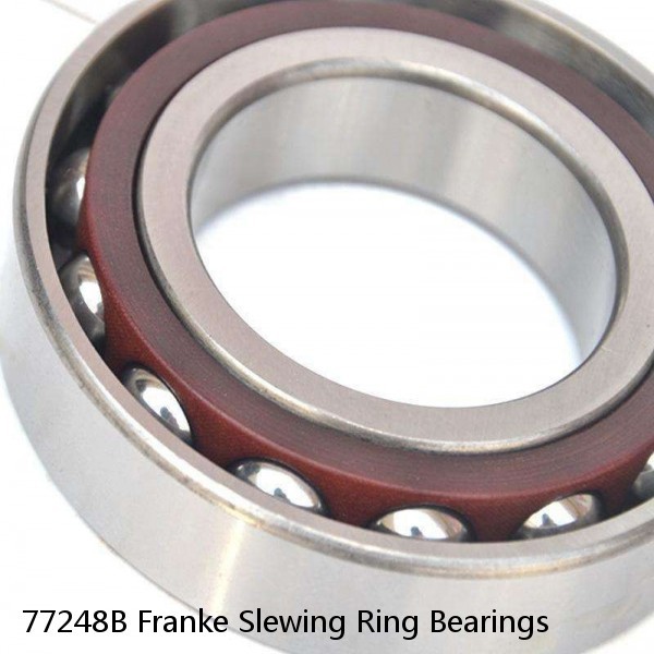 77248B Franke Slewing Ring Bearings #1 image