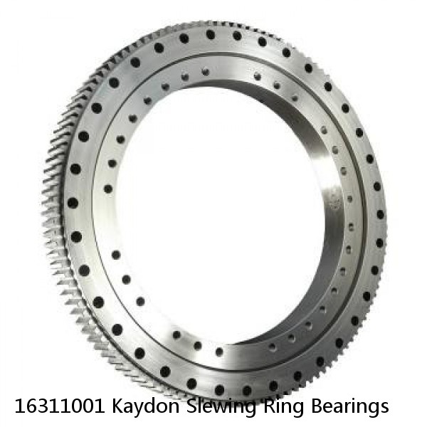 16311001 Kaydon Slewing Ring Bearings #1 image