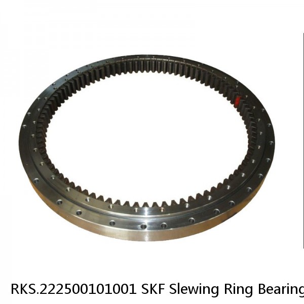 RKS.222500101001 SKF Slewing Ring Bearings #1 image