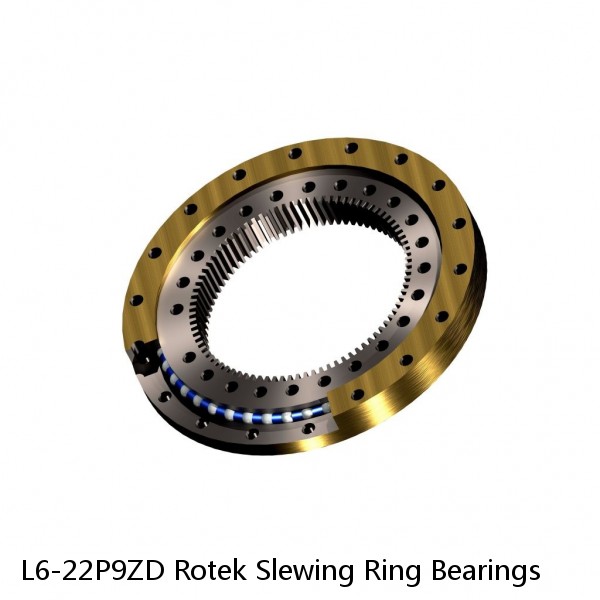 L6-22P9ZD Rotek Slewing Ring Bearings #1 image