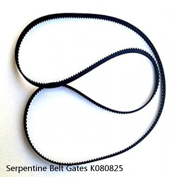 Serpentine Belt Gates K080825 #1 image